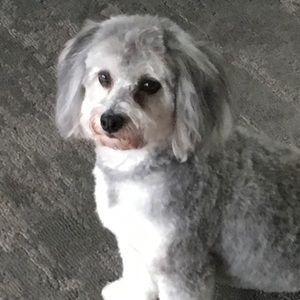 Meet your Posher, Nancy